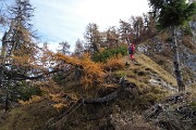 55 Saliamo per ripida traccia al Pizzo Badile